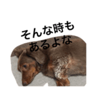 みるきなスタンプpart2（個別スタンプ：7）