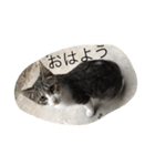 パー子(仮)（個別スタンプ：2）