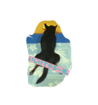 チワワブラックタン（個別スタンプ：6）