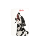 ダルメシアンH＆T R（個別スタンプ：2）