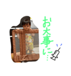 Love sakuto（個別スタンプ：14）