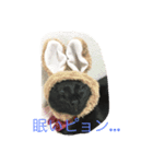 ミロと福（個別スタンプ：4）
