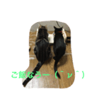 ミロと福（個別スタンプ：6）