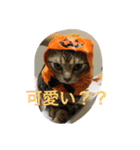 ミロと福（個別スタンプ：7）