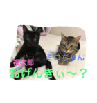 ミロと福（個別スタンプ：8）