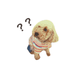 FAMILY PETS（個別スタンプ：5）