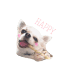 FAMILY PETS（個別スタンプ：17）