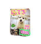 千秋の家族（個別スタンプ：7）