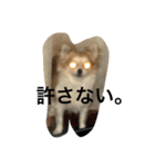 チワワのこむぎ（個別スタンプ：2）