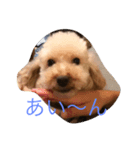 monakanokimoci（個別スタンプ：3）