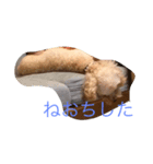 monakanokimoci（個別スタンプ：5）