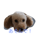 monakanokimoci（個別スタンプ：8）