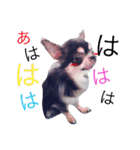 くぅ太（個別スタンプ：16）