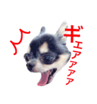 くぅ太（個別スタンプ：18）