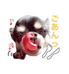 くぅ太（個別スタンプ：21）