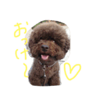 ms kelly2（個別スタンプ：1）