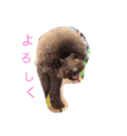 ms kelly2（個別スタンプ：2）
