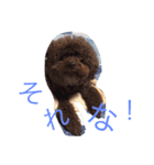 ms kelly2（個別スタンプ：7）