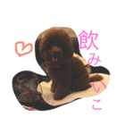 ms kelly2（個別スタンプ：10）