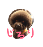 ms kelly2（個別スタンプ：12）