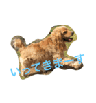 Sweet face dog LEO2（個別スタンプ：13）