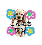 パワフルキッズ☆（個別スタンプ：8）