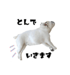 ブルドッグのはっちゃん（個別スタンプ：6）