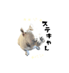 ブルドッグのはっちゃん（個別スタンプ：22）