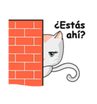 HOLA CHABBY CAT (Spanish)（個別スタンプ：3）