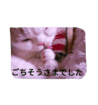 すこたん（個別スタンプ：4）