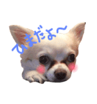 maro maro days.（個別スタンプ：5）