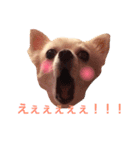 maro maro days.（個別スタンプ：6）