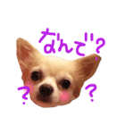 maro maro days.（個別スタンプ：9）