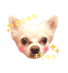 maro maro days.（個別スタンプ：15）