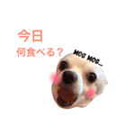 maro maro days.（個別スタンプ：16）