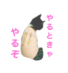 キジ猫ふーちゃんの独り言（個別スタンプ：9）