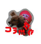 使える！うむぎあくの生活（個別スタンプ：2）