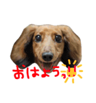 使える！うむぎあくの生活（個別スタンプ：3）