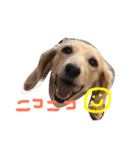 使える！うむぎあくの生活（個別スタンプ：10）
