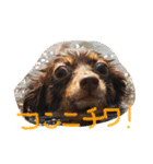 使える！うむぎあくの生活（個別スタンプ：14）