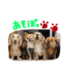 使える！うむぎあくの生活（個別スタンプ：25）
