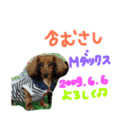 使える！うむぎあくの生活（個別スタンプ：29）