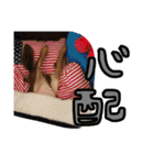 使える！うむぎあくの生活（個別スタンプ：40）