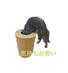 まるちゃんスタンプ #2（個別スタンプ：23）