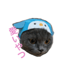 まるちゃんスタンプ #2（個別スタンプ：35）