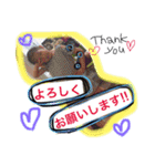 はやてるな（個別スタンプ：11）