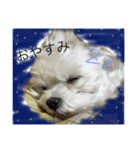 ぷりんのすたんぷ（個別スタンプ：2）