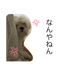 ぷりんのすたんぷ（個別スタンプ：16）