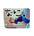 serikai2☆（個別スタンプ：3）