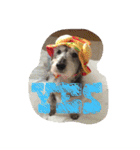 Mydog＆friends（個別スタンプ：3）